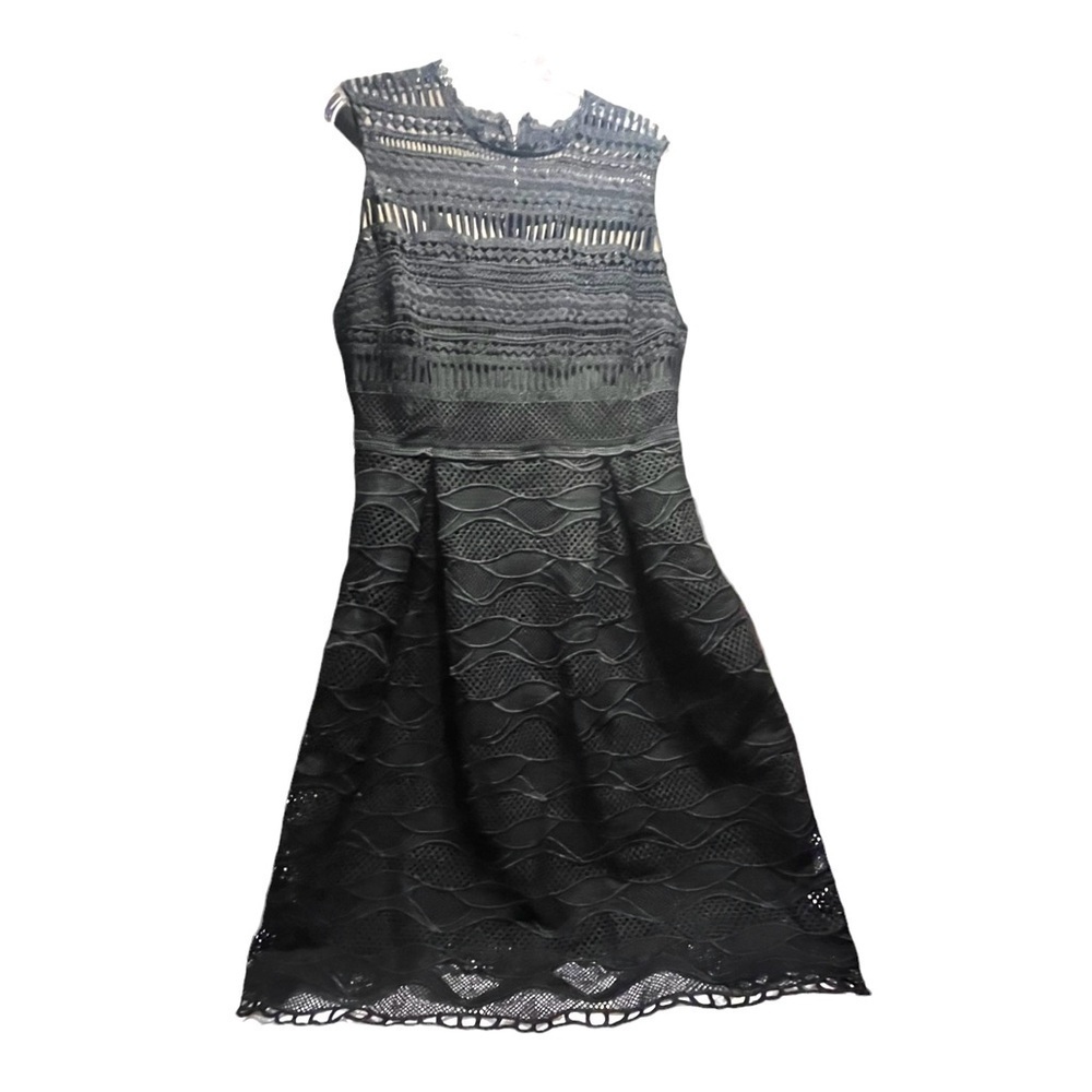 Liza Luxe Whimsigoth LBD lace fit &flare sleeveless dress zip back mesh overlay